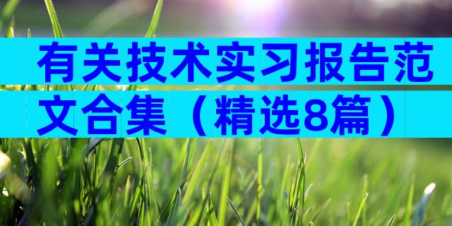 有关技术实习报告范文合集（精选8篇）
