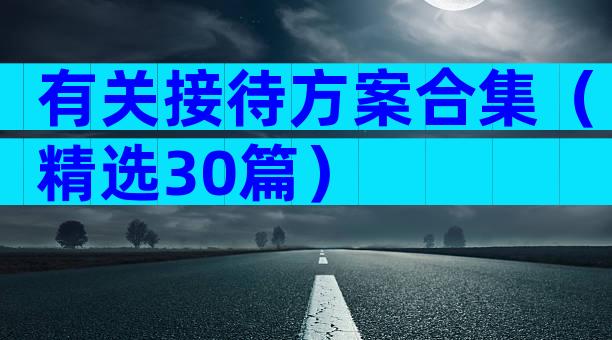 有关接待方案合集（精选30篇）
