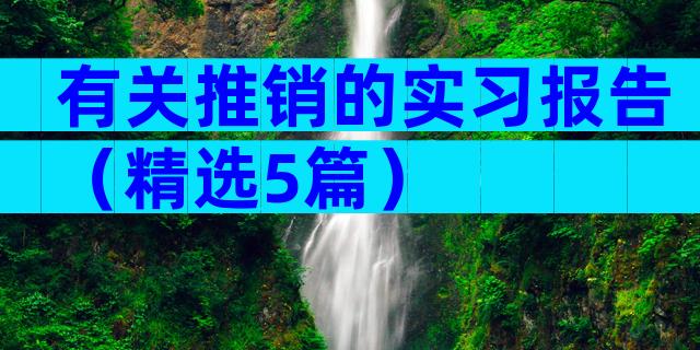 有关推销的实习报告（精选5篇）