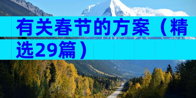 有关春节的方案（精选29篇）