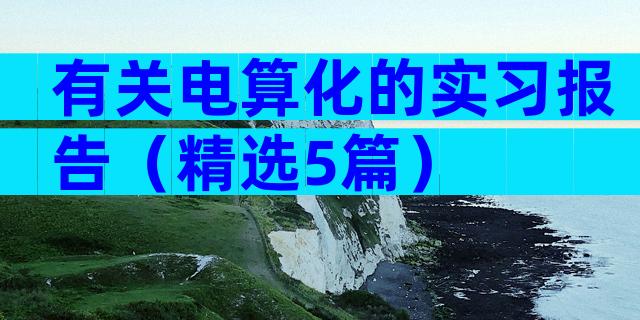 有关电算化的实习报告（精选5篇）