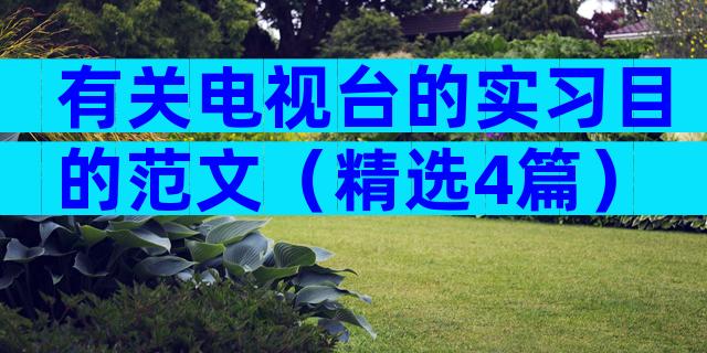 有关电视台的实习目的范文（精选4篇）