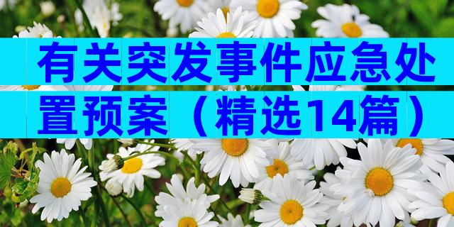 有关突发事件应急处置预案（精选14篇）