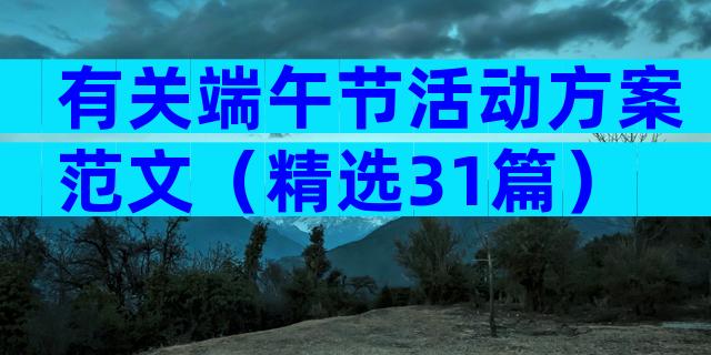 有关端午节活动方案范文（精选31篇）