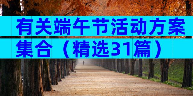 有关端午节活动方案集合（精选31篇）