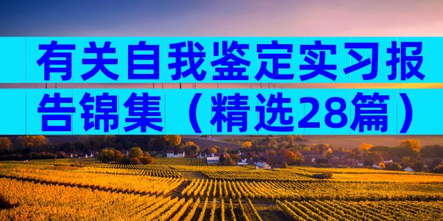 有关自我鉴定实习报告锦集（精选28篇）