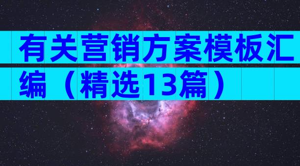 有关营销方案模板汇编（精选13篇）