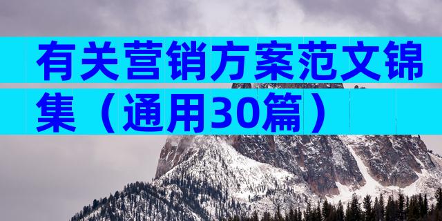 有关营销方案范文锦集（通用30篇）