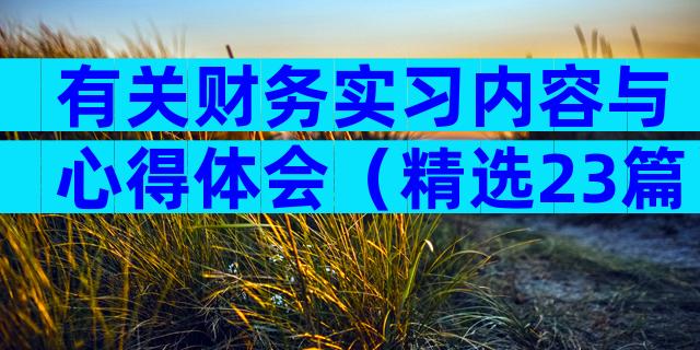 有关财务实习内容与心得体会（精选23篇）