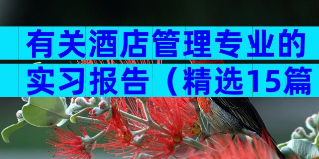 有关酒店管理专业的实习报告（精选15篇）
