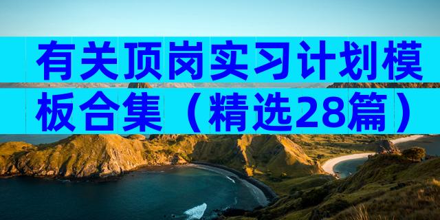 有关顶岗实习计划模板合集（精选28篇）