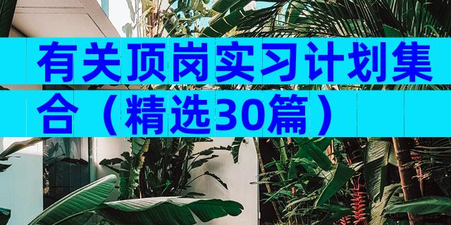 有关顶岗实习计划集合（精选30篇）
