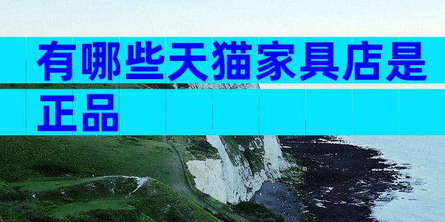 有哪些天猫家具店是正品