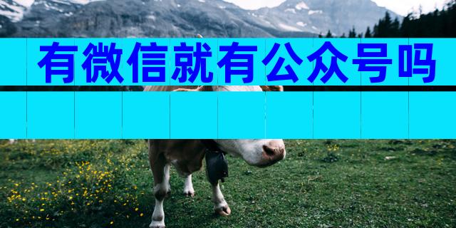 有微信就有公众号吗