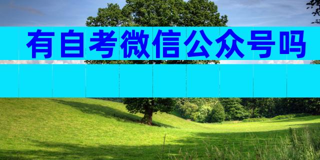 有自考微信公众号吗