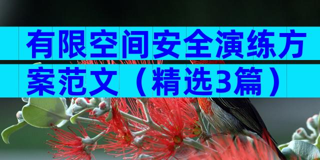 有限空间安全演练方案范文（精选3篇）