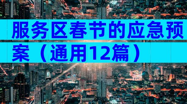 服务区春节的应急预案（通用12篇）