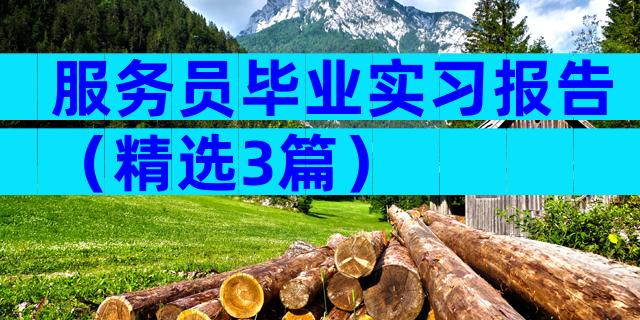 服务员毕业实习报告（精选3篇）