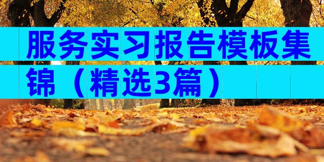 服务实习报告模板集锦（精选3篇）