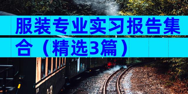 服装专业实习报告集合（精选3篇）