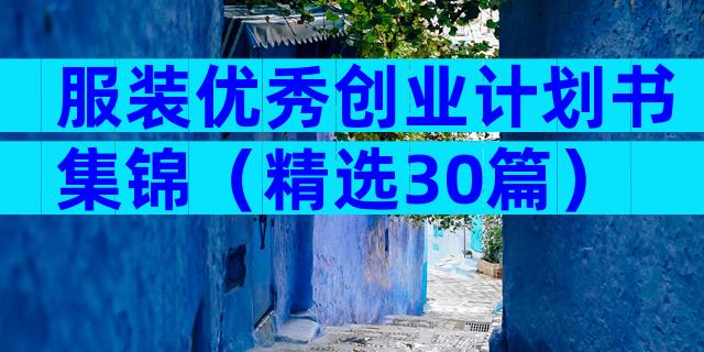 服装优秀创业计划书集锦（精选30篇）