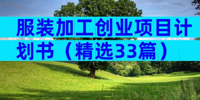 服装加工创业项目计划书（精选33篇）