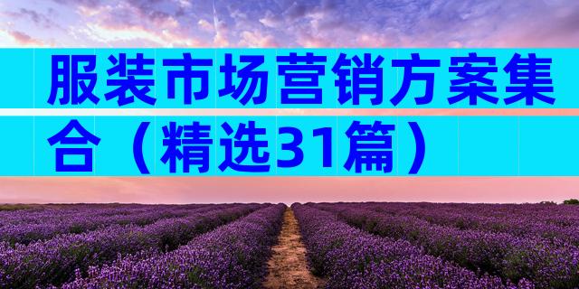 服装市场营销方案集合（精选31篇）