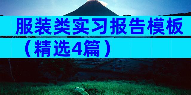 服装类实习报告模板（精选4篇）