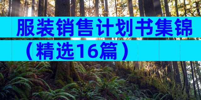 服装销售计划书集锦（精选16篇）