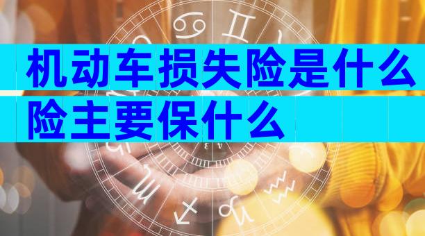 机动车损失险是什么险主要保什么