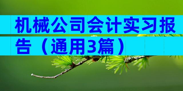 机械公司会计实习报告（通用3篇）