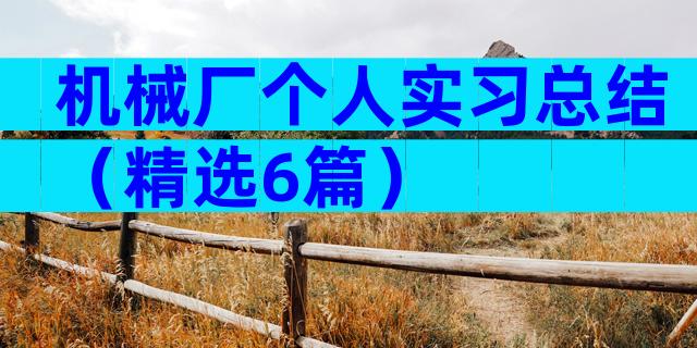 机械厂个人实习总结（精选6篇）