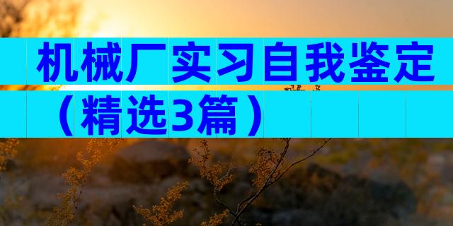 机械厂实习自我鉴定（精选3篇）