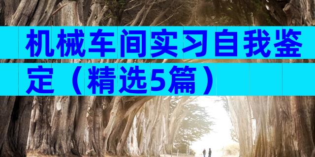 机械车间实习自我鉴定（精选5篇）