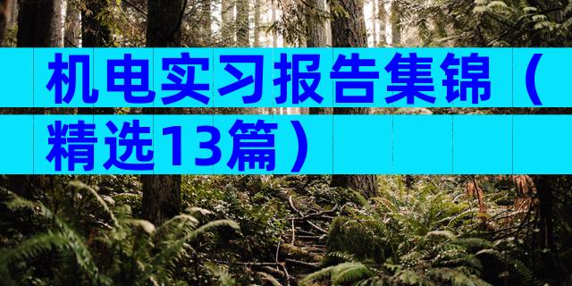 机电实习报告集锦（精选13篇）