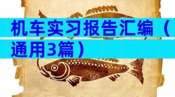 机车实习报告汇编（通用3篇）