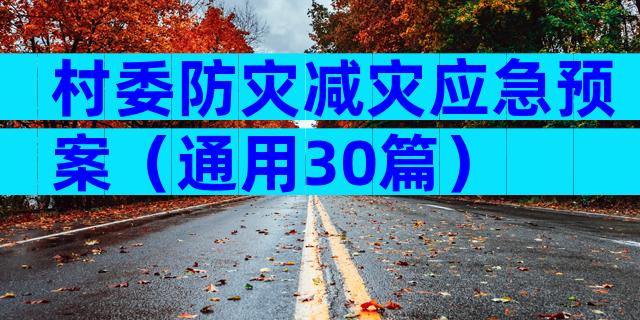 村委防灾减灾应急预案（通用30篇）