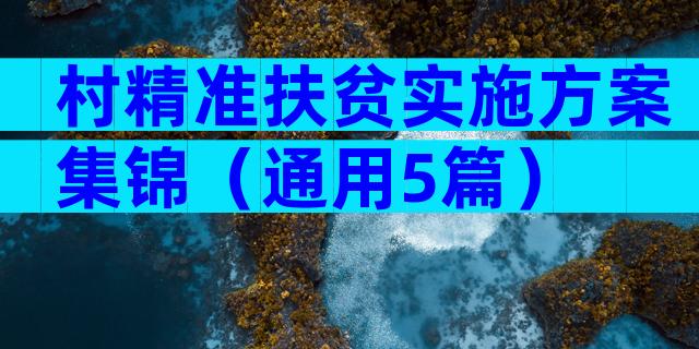 村精准扶贫实施方案集锦（通用5篇）