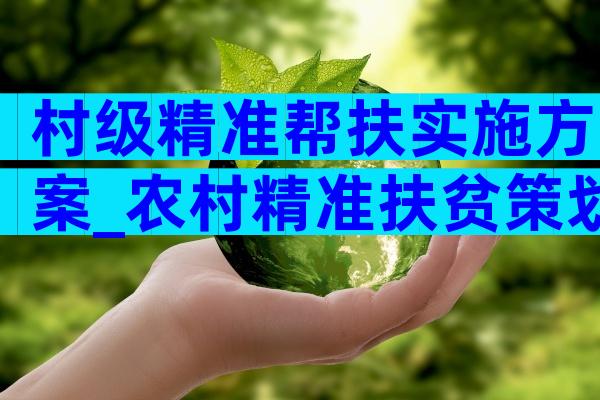 村级精准帮扶实施方案_农村精准扶贫策划方案（精选3篇）