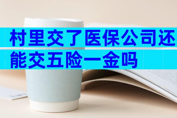村里交了医保公司还能交五险一金吗