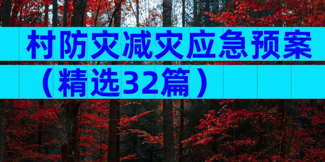 村防灾减灾应急预案（精选32篇）