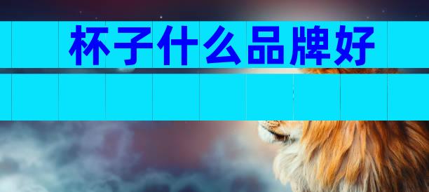 杯子什么品牌好