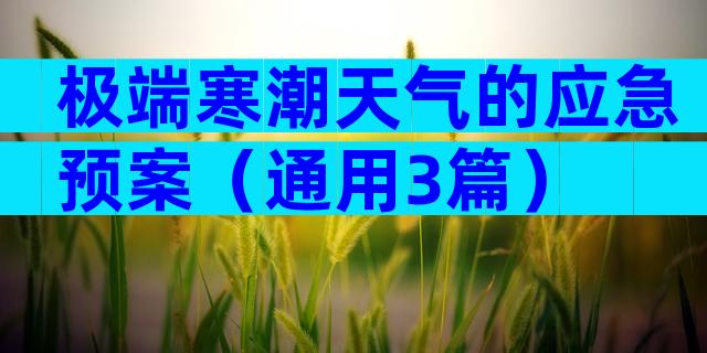 极端寒潮天气的应急预案（通用3篇）