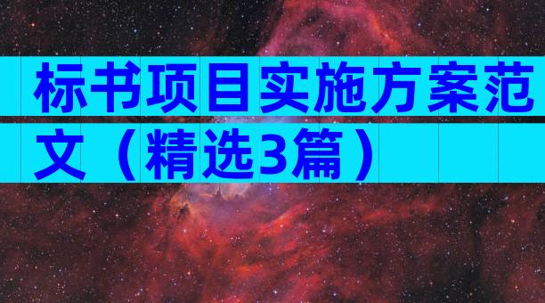 标书项目实施方案范文（精选3篇）