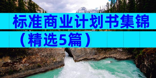标准商业计划书集锦（精选5篇）