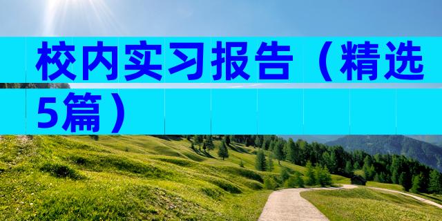 校内实习报告（精选5篇）