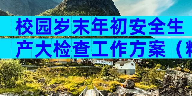 校园岁末年初安全生产大检查工作方案（精选28篇）