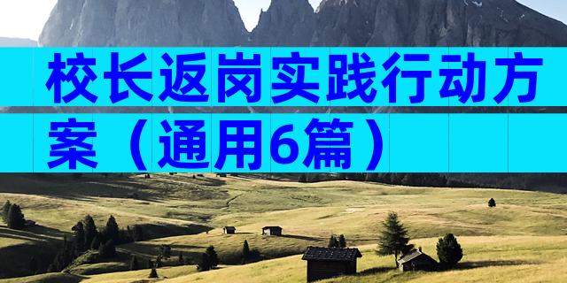 校长返岗实践行动方案（通用6篇）