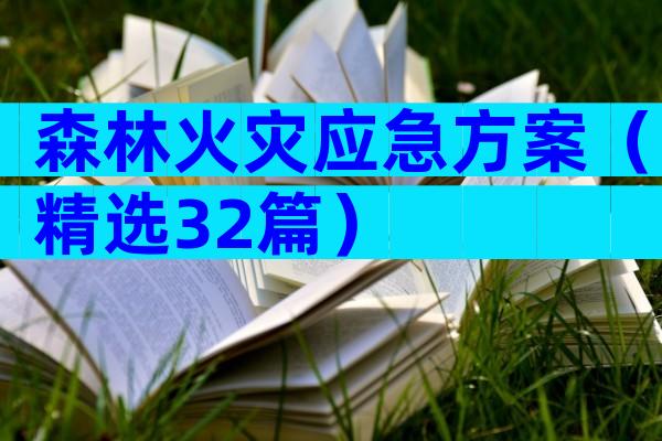 森林火灾应急方案（精选32篇）
