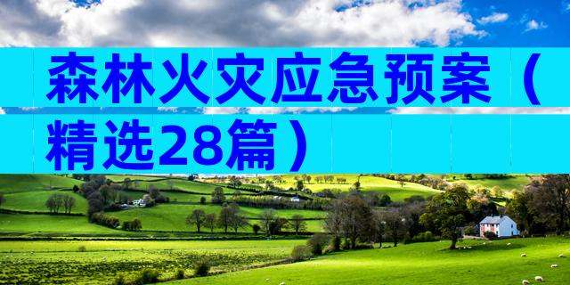 森林火灾应急预案（精选28篇）